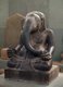 Vietnam: Cham sandstone figure of the Hindu god Ganesh (Ganesa), 7th - 8th century, Cham Museum, Danang
